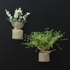 MAGNALEAF - Magnetic Mini Planters