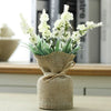 MAGNALEAF - Magnetic Mini Planters