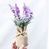 MAGNALEAF - Magnetic Mini Planters