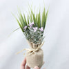 MAGNALEAF - Magnetic Mini Planters