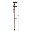 SUMMITSTRIDE – Trekking Pole for Stability and Comfort