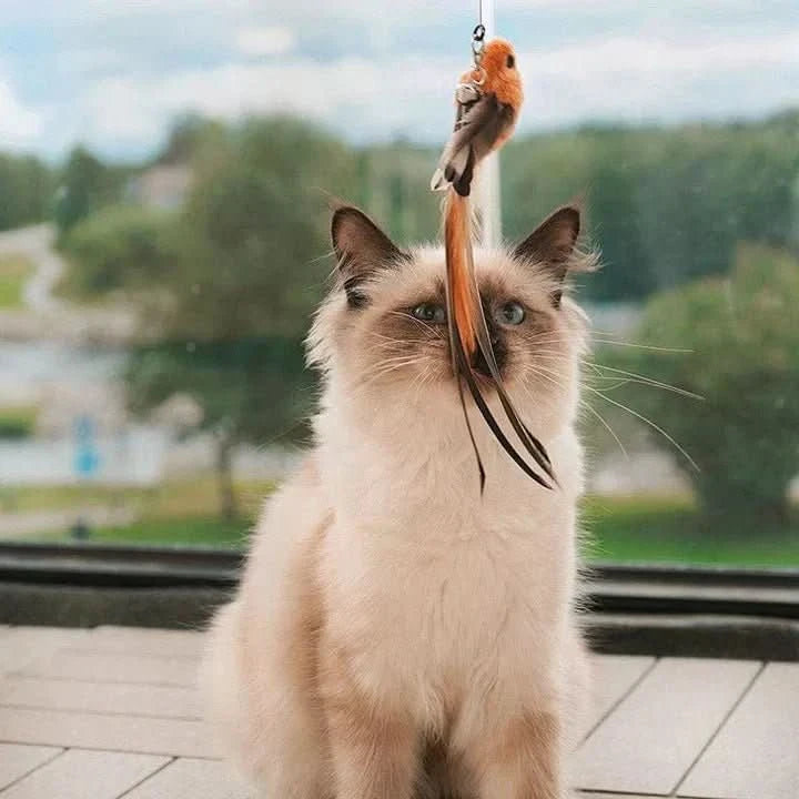 Flapping Friend – Interactive Cat Toy With Flapping Wings For Natural Hunting Fun