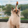 Flapping Friend – Interactive Cat Toy With Flapping Wings For Natural Hunting Fun