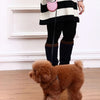 Chic Canin Leash - Glittering Dog Leash with Rhinestones and Retractable Feature for Small Dogs and Cats