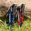 Pathfinder Trekking Poles – Adjustable Hiking Poles For Stability & Comfort