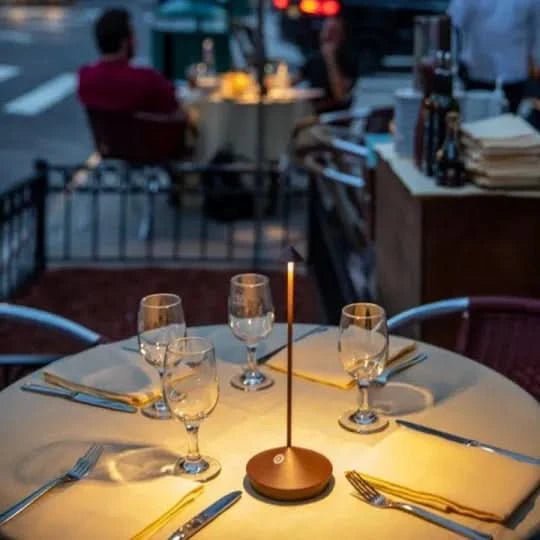 Cordless Spike Light – Cordless, Dimmable LED Light for Indoor and Outdoor Use | Weatherproof Design