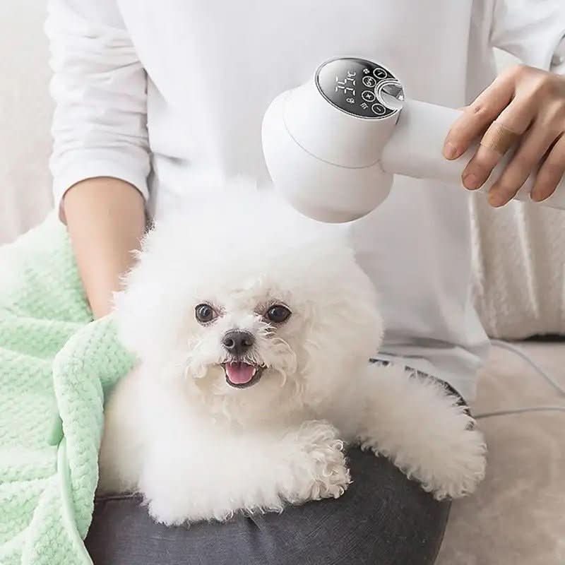 Clément Sérénité – Quiet Pet Hair Dryer With Ion Technology For Stress-Free Grooming
