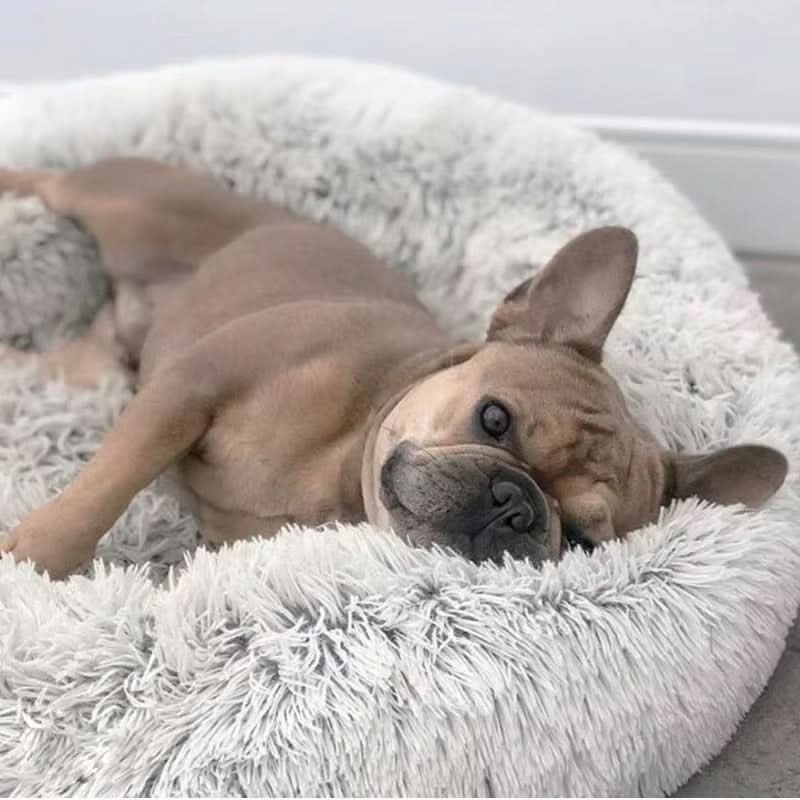 PAWLOFT - Calming Pet Bed