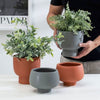 DALINA – Timeless Ceramic Vase for a Stylish Ambiance