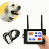 Pet Safety – Wireless Security and Training System for Dogs