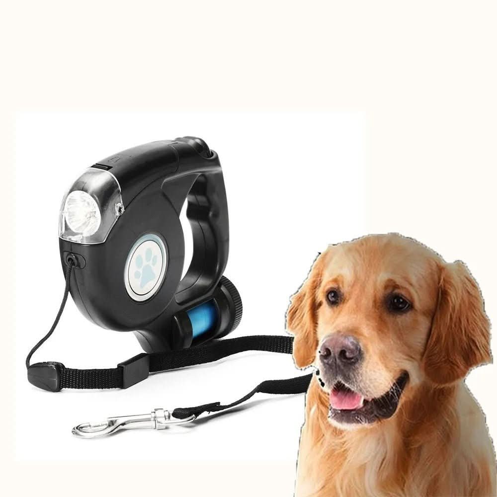Amélie Lumière – LED Dog Leash With Integrated Flashlight For Safe Evening Walks