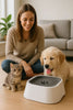 TrinkWächter – Anti-Spill Water Bowl For Clean Floors