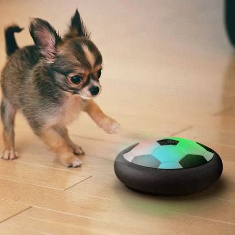 Pro Play Ball – Interactive Play Ball With Unpredictable Movement For Active Dogs