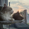 PAWPERCH – Foldable Window Hammock For Cats With A View & Comfort