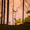 SOLARIA – Outdoor Solar Light