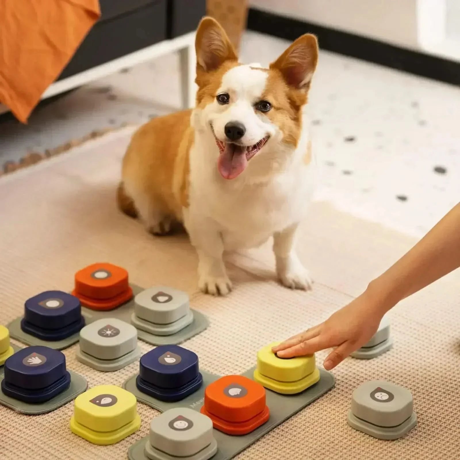 BarkTalk – Interactive Language Buttons for Playful Dog Communication