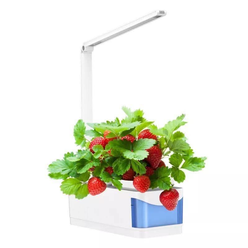 SMARTSPROUT - Indoor Herb Garden