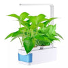 SMARTSPROUT - Indoor Herb Garden