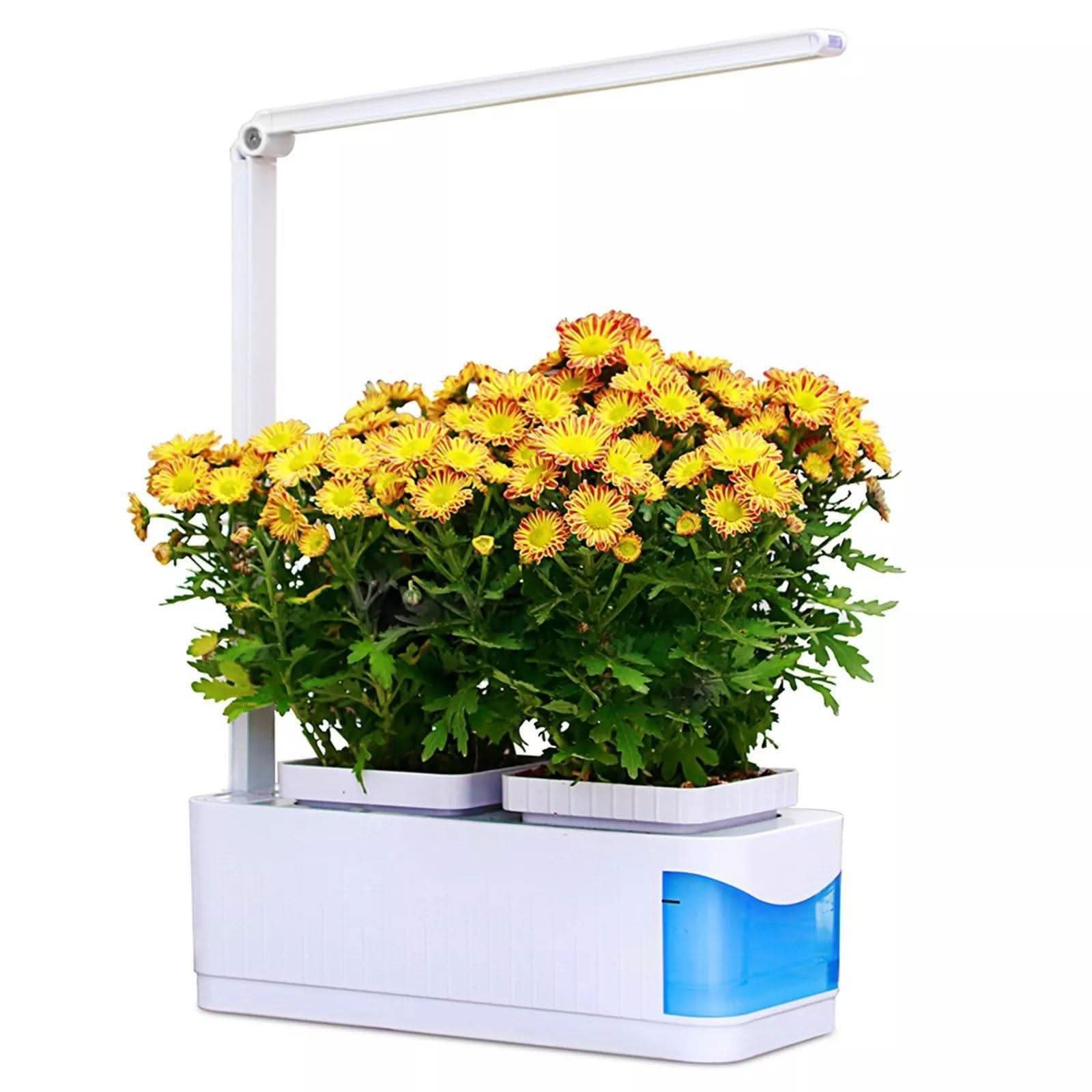 SMARTSPROUT - Indoor Herb Garden