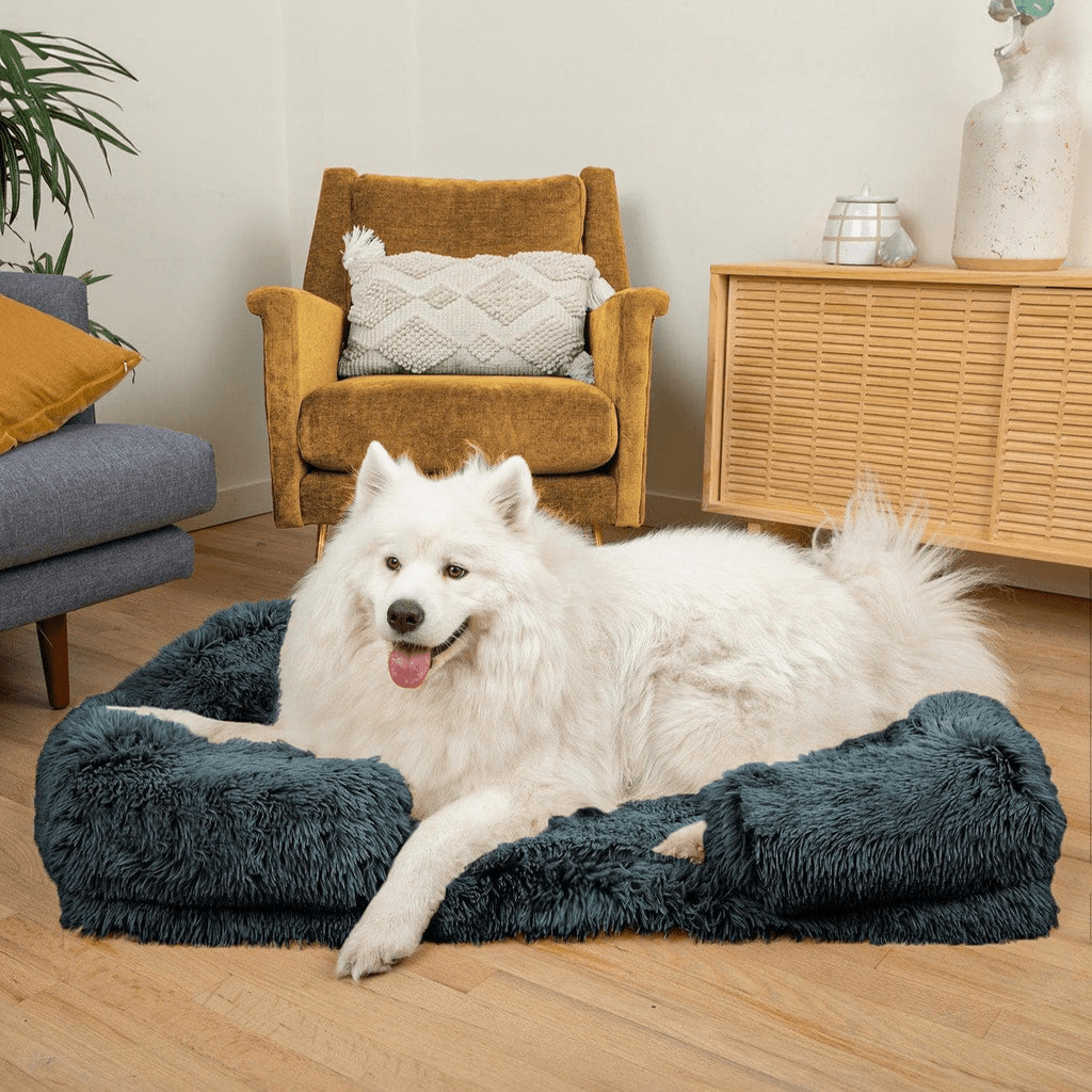 SNUGPAW - Orthopedic Dog Bed