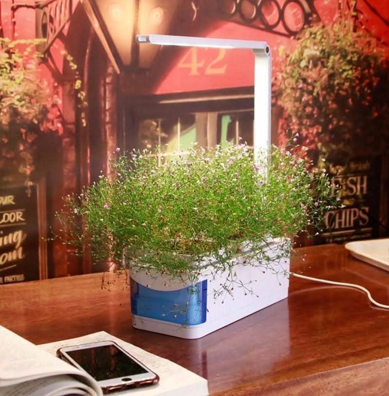 SMARTSPROUT - Indoor Herb Garden
