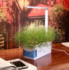 SMARTSPROUT - Indoor Herb Garden