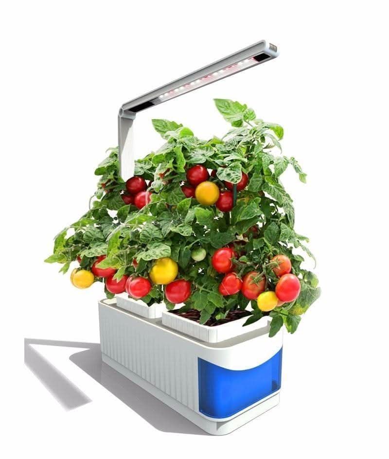 SMARTSPROUT - Indoor Herb Garden
