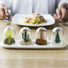 SEASONIX Spice Jar Set For Order And Elegance In The Kitchen