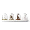 SEASONIX Spice Jar Set For Order And Elegance In The Kitchen