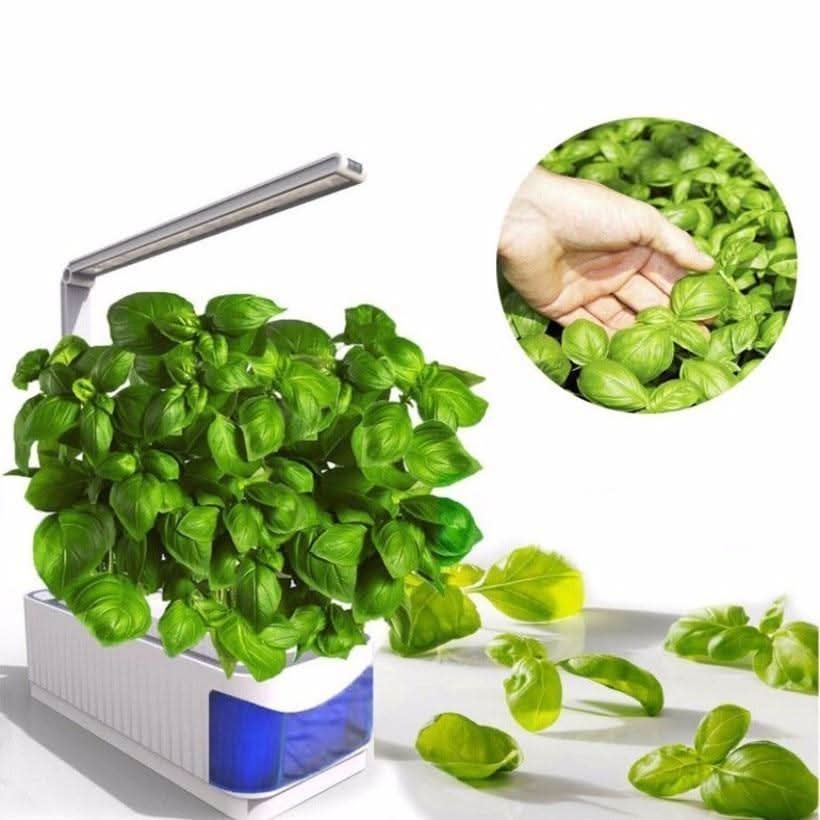 SMARTSPROUT - Indoor Herb Garden