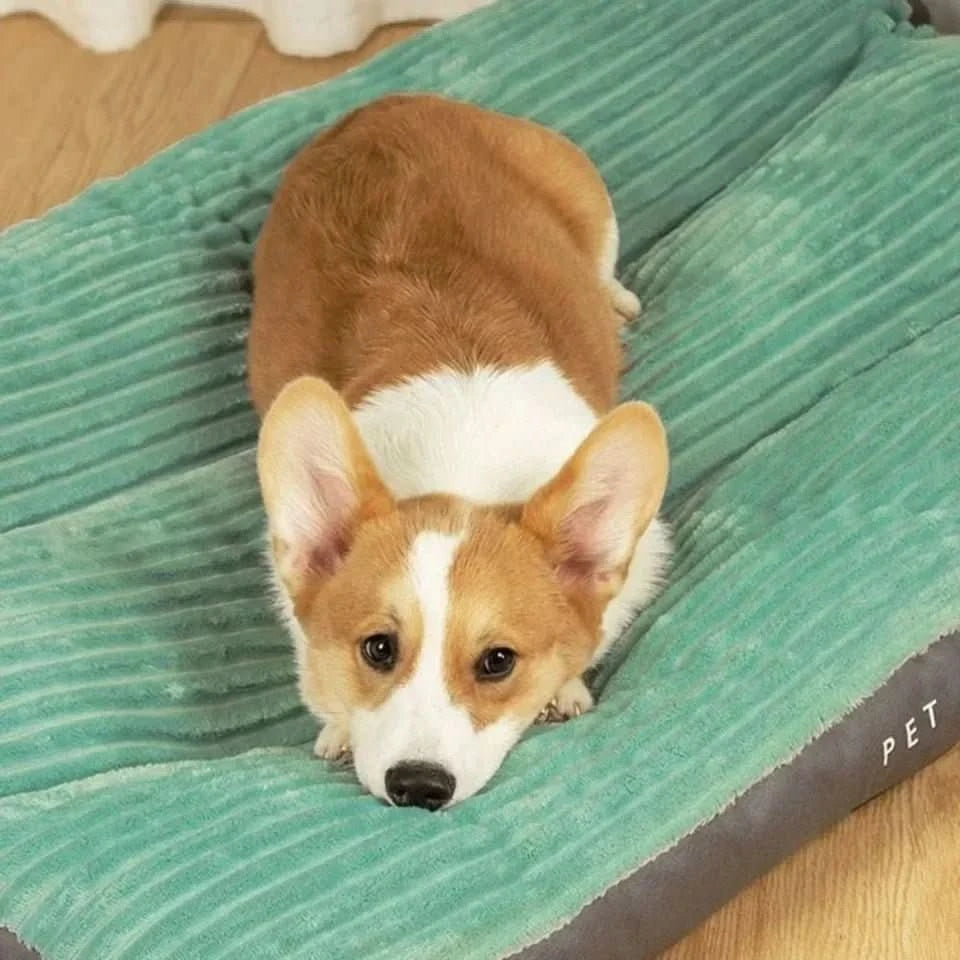 Orthopädisches Hundebett Grau Größe M L XL Hochwertiger Schaum-4