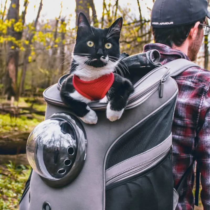 CATTREKKER – Foldable Cat Travel Bag with Panorama Window for Stress-Free Travel