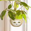 LUMA - Stylish Hanging Sloth Vase for Your Rooms