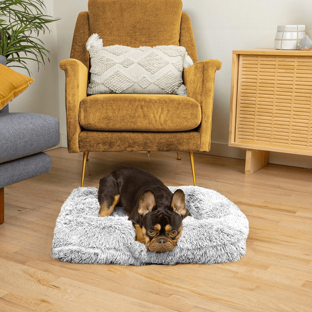 SNUGPAW - Orthopedic Dog Bed