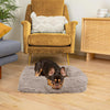 SNUGPAW - Orthopedic Dog Bed