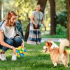 SNUFFLEFUN – Interactive Snuffle Toy For Mental Stimulation Of Pets