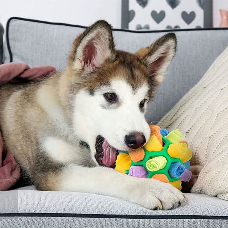SNUFFLEFUN – Interactive Snuffle Toy For Mental Stimulation Of Pets