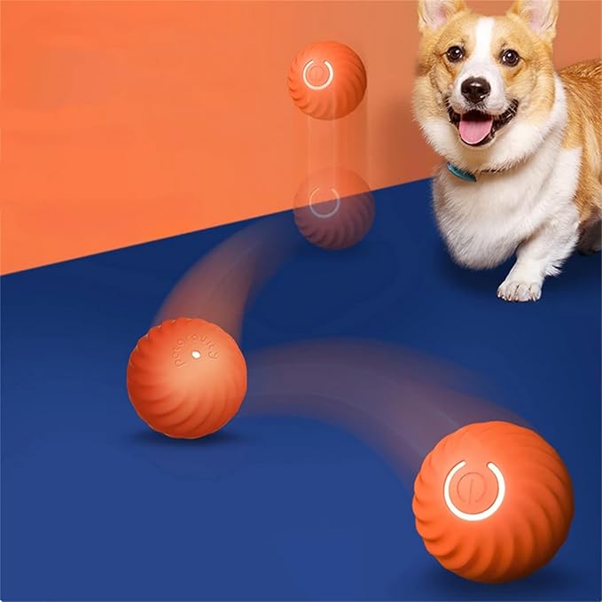 Interaktiver Springball für Hunde