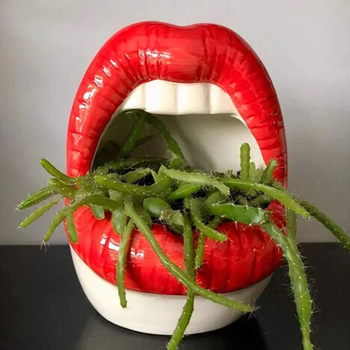 Patty - Unique Lip-Shaped Planter
