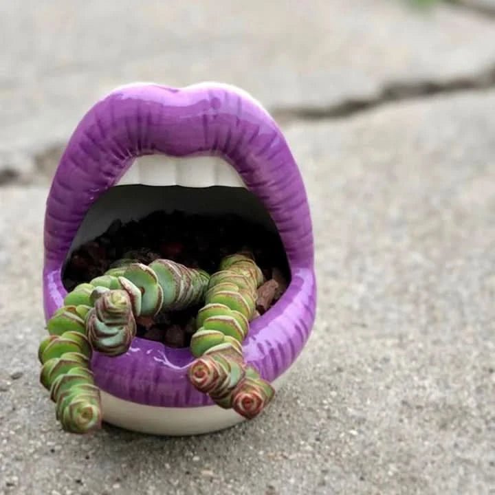 Patty - Unique Lip-Shaped Planter
